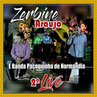 Amor de dois não é pra três - ZERBINE ARAÚJO By Zerbine Araújo's cover