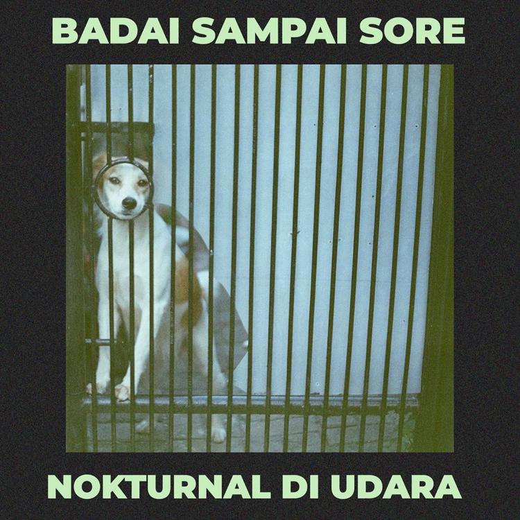 Badai Sampai Sore's avatar image