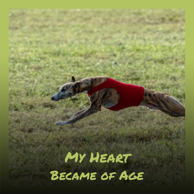 My Heart Became of Age's cover