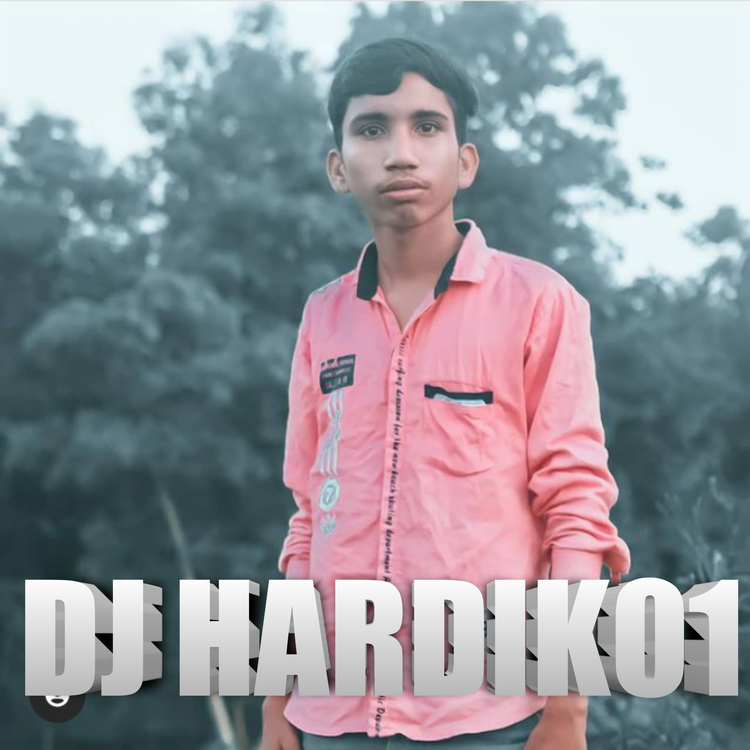 Dj Hardik01's avatar image