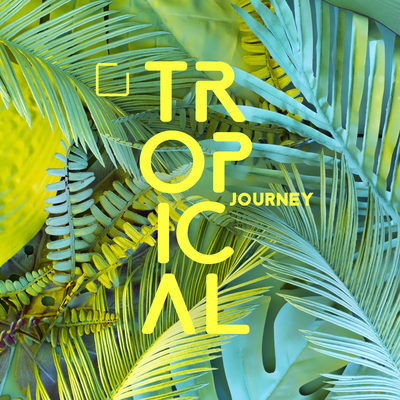 Tropical Journey - Hawaiian Music for Deep Relaxation - Catch the Sun's cover