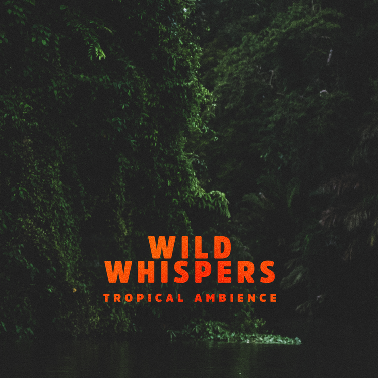 Wild Whispers's avatar image