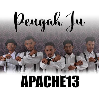 Peugah Ju By Apache13's cover