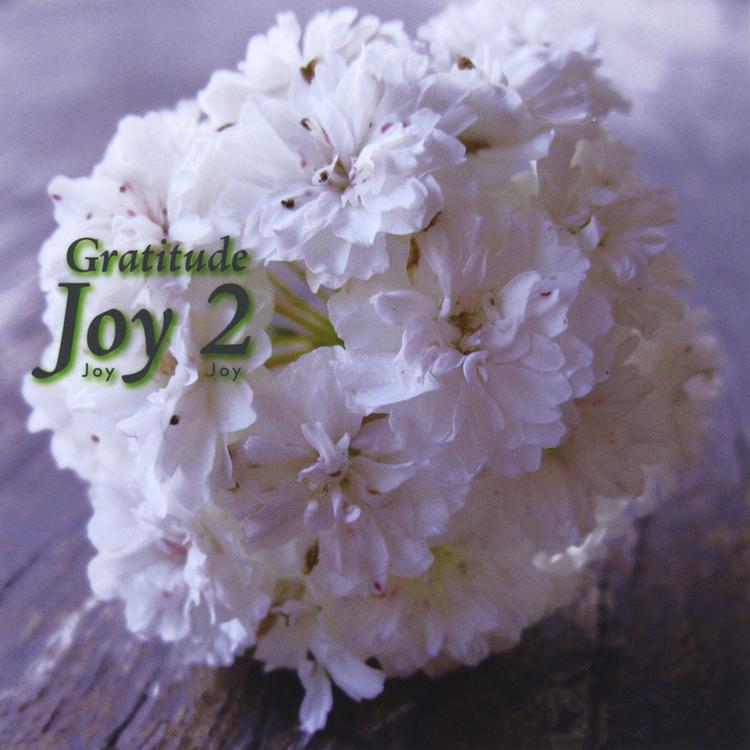 Joy2's avatar image