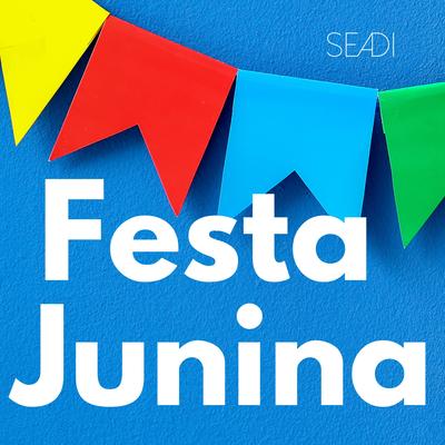 Festa de São João By Seadi, Festa Junina's cover