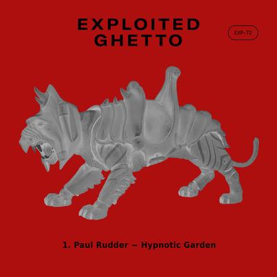 Hypnotic Garden By Paul Rudder's cover