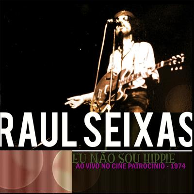 Rock Around the Clock (Ao Vivo) By Raul Seixas's cover