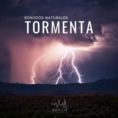 Sonidos Naturales: Tormenta, Pt. 16 By Música para Dormir Rápido's cover