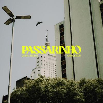 Passarinho By Gabriel Froede, Carol Biazin's cover