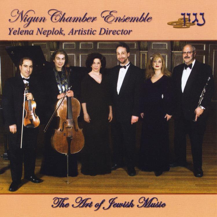 Nigun Chamber Ensemble's avatar image