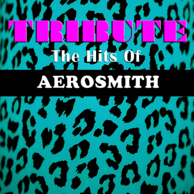 Tribute The Hits Of Aerosmith's cover