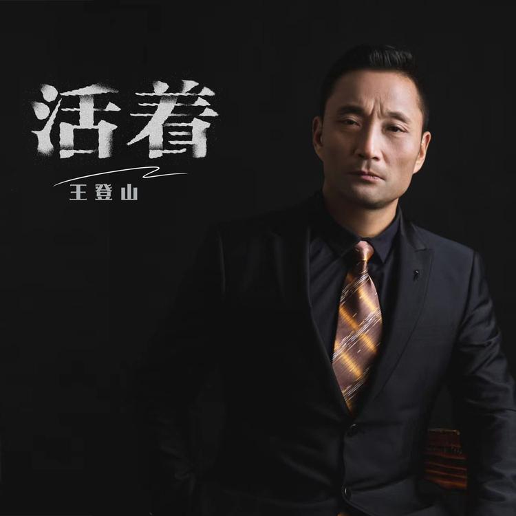 王登山's avatar image