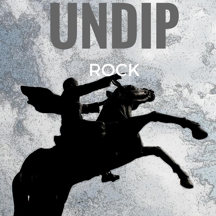 UNDIP ROCK's avatar image