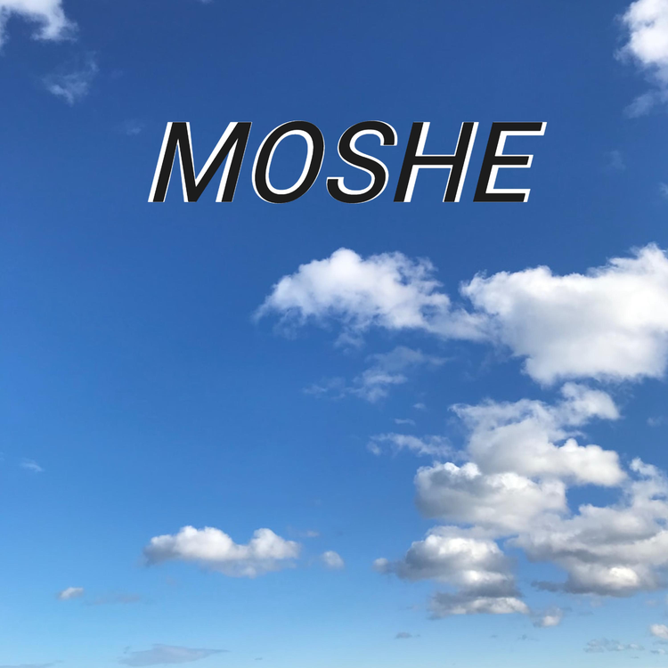 Moshe's avatar image