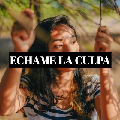 Echame La Culpa's cover
