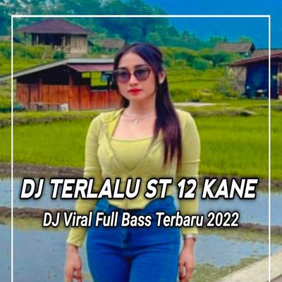 DJ TERLALU - AKU TAK BISA MENAHAN LANGKAH KAKIMU VIRAL's cover