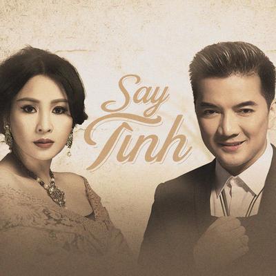 Say Tình By Đàm Vĩnh Hưng, Thanh Lam, NS Records's cover