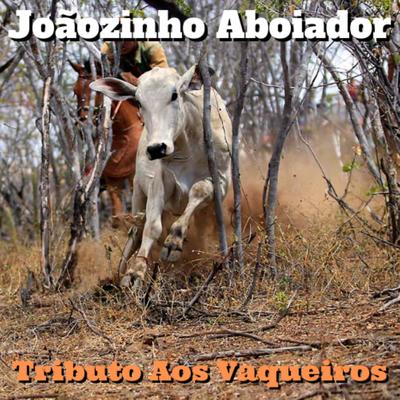 Onde Tem Gado e Vaqueiro By Joãozinho Aboiador's cover