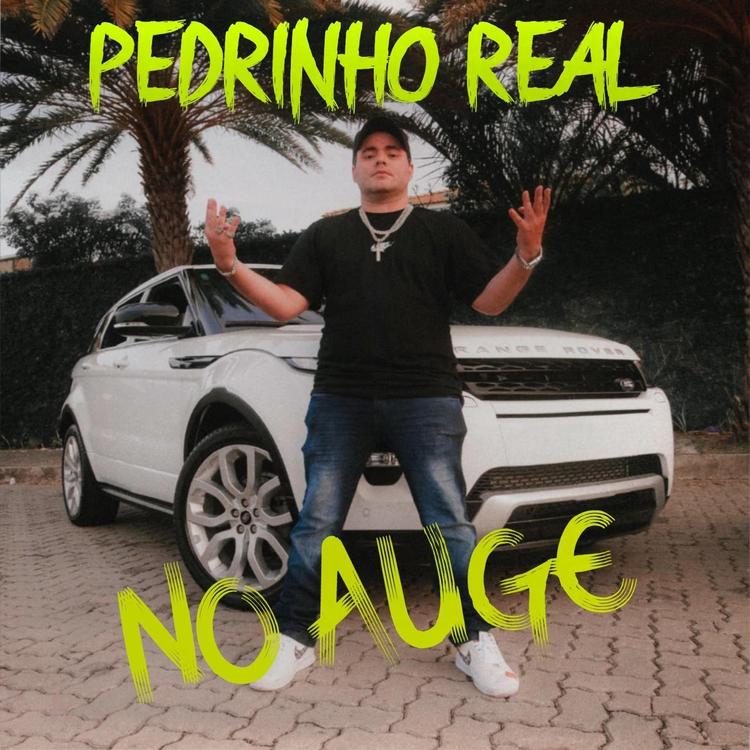 Pedrinho Real's avatar image