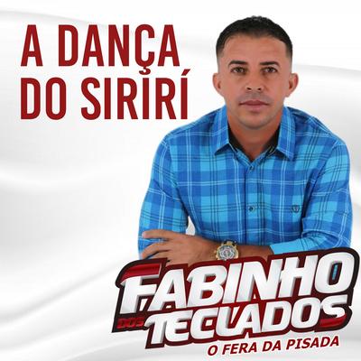 A Dança do Siriri (Cover)'s cover