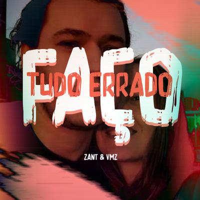 Faço Tudo Errado By Zant, VMZ's cover