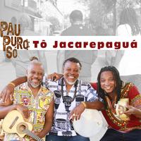 Pau Puro Só's avatar cover