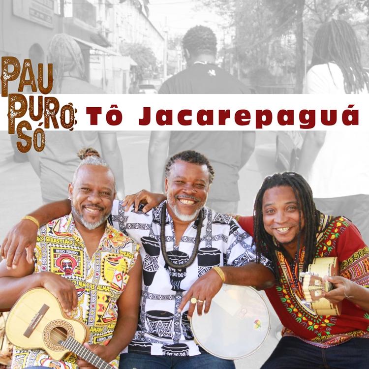 Pau Puro Só's avatar image