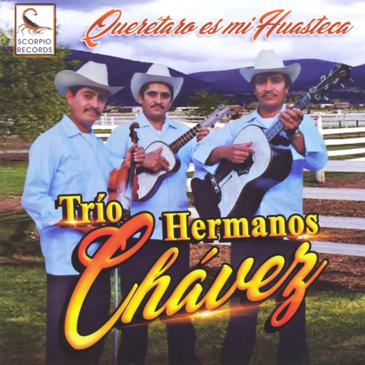 Trío Hermanos Chávez's avatar image