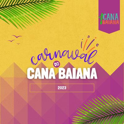 Carnaval do Cana Baiana's cover