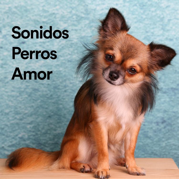 Sonidos Perros Amor's avatar image