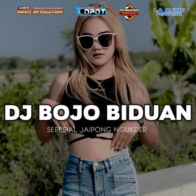 DJ BOJO BIDUAN LA PRO AUDIO's cover