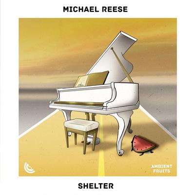 Shelter By Michael Reese's cover