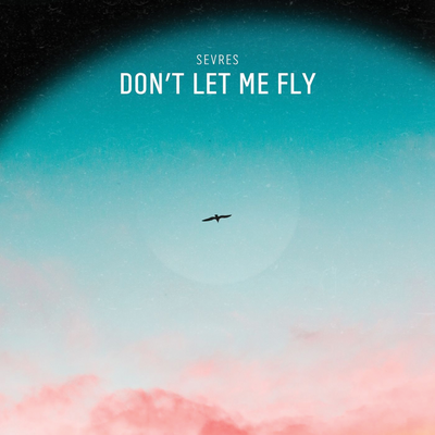 Don't Let Me Fly's cover