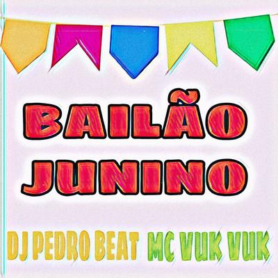 BAILÃO JUNINO By Dj pedro beat, Mc Vuk Vuk's cover