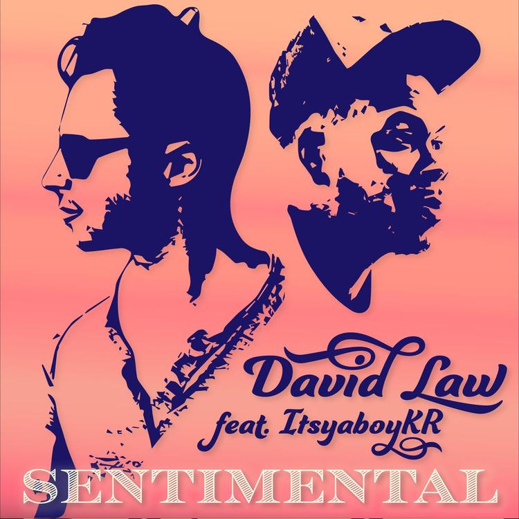 David Law's avatar image