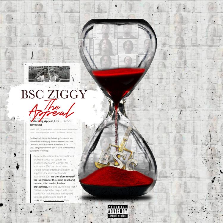 B$c Ziggy's avatar image