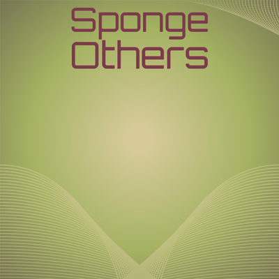 Sponge Others's cover