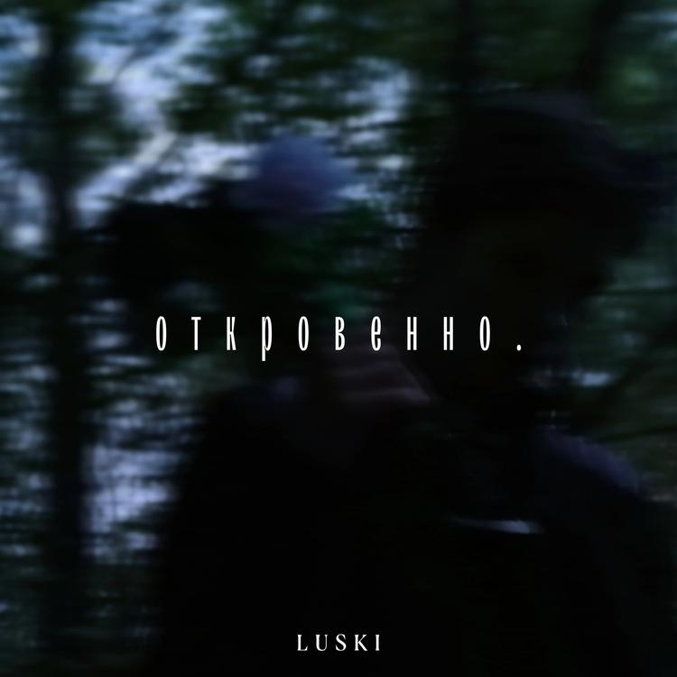 Luski's avatar image