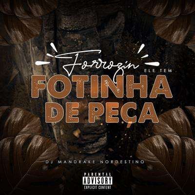 Forrozin Ele Tem Fotinha de Peça By Dj Mandrake Nordestino's cover