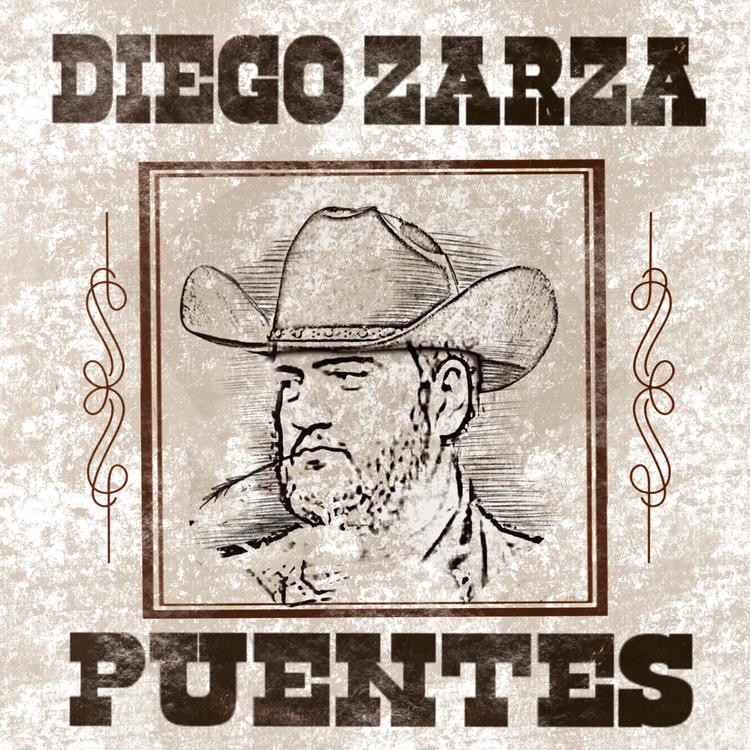 Diego Zarza's avatar image