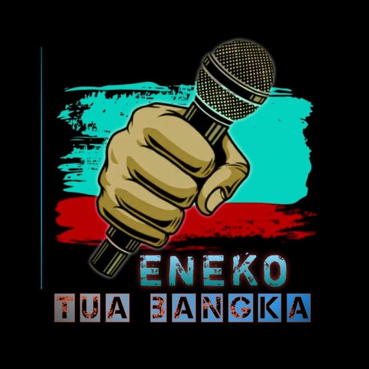 Eneko's avatar image