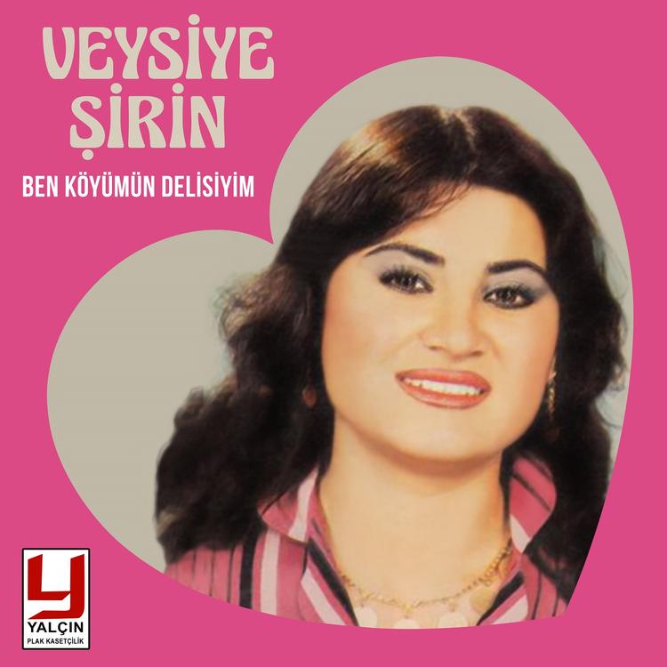 Veysiye Şirin's avatar image