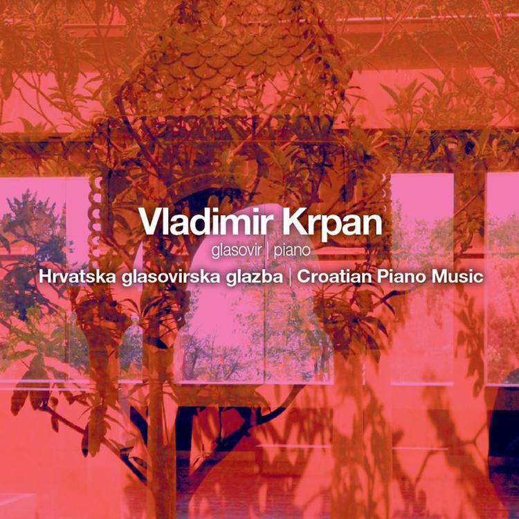 Vladimir Krpan's avatar image