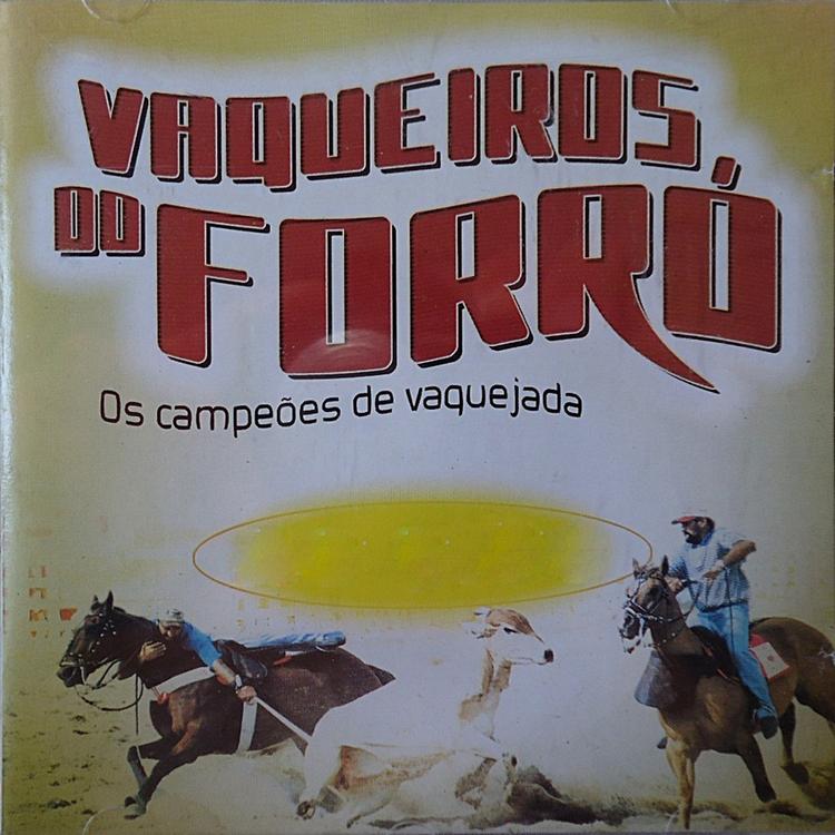 Vaqueiros Do Forró's avatar image
