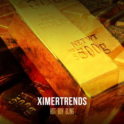 Hot boy bling (Instrumental) By Ximer Trends's cover