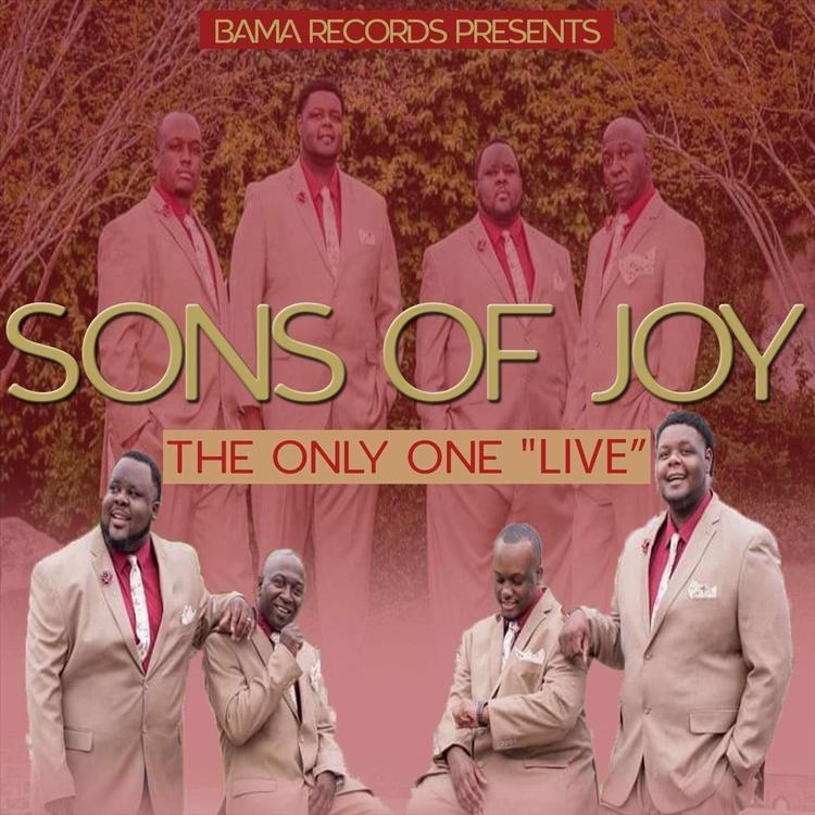 Sons of Joy's avatar image