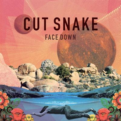 Face Down By Cut Snake's cover