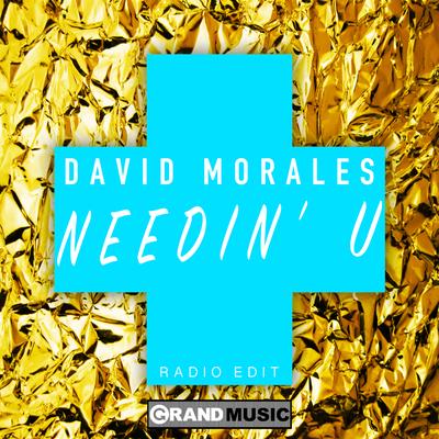 Needin' U (Radio Edit)'s cover