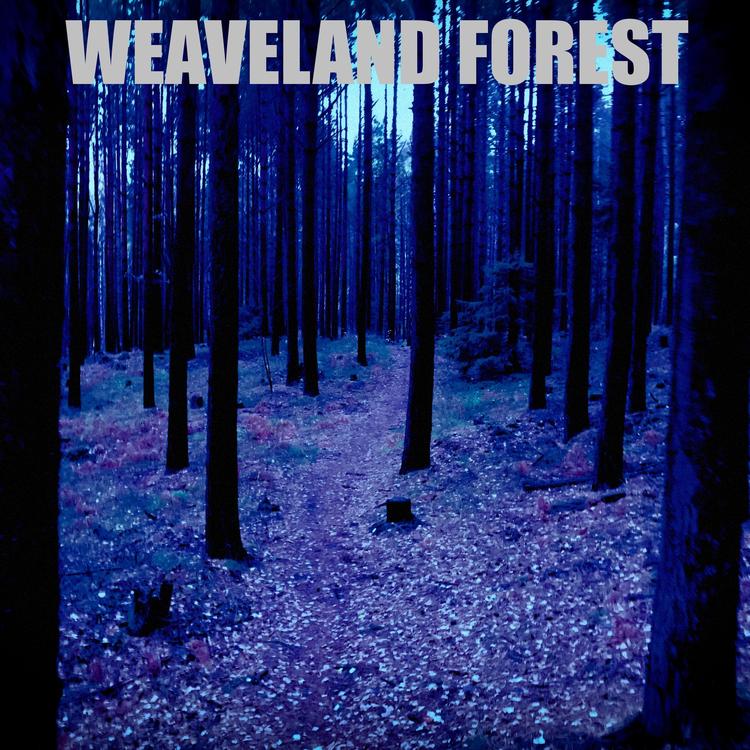 Weaveland Forest's avatar image