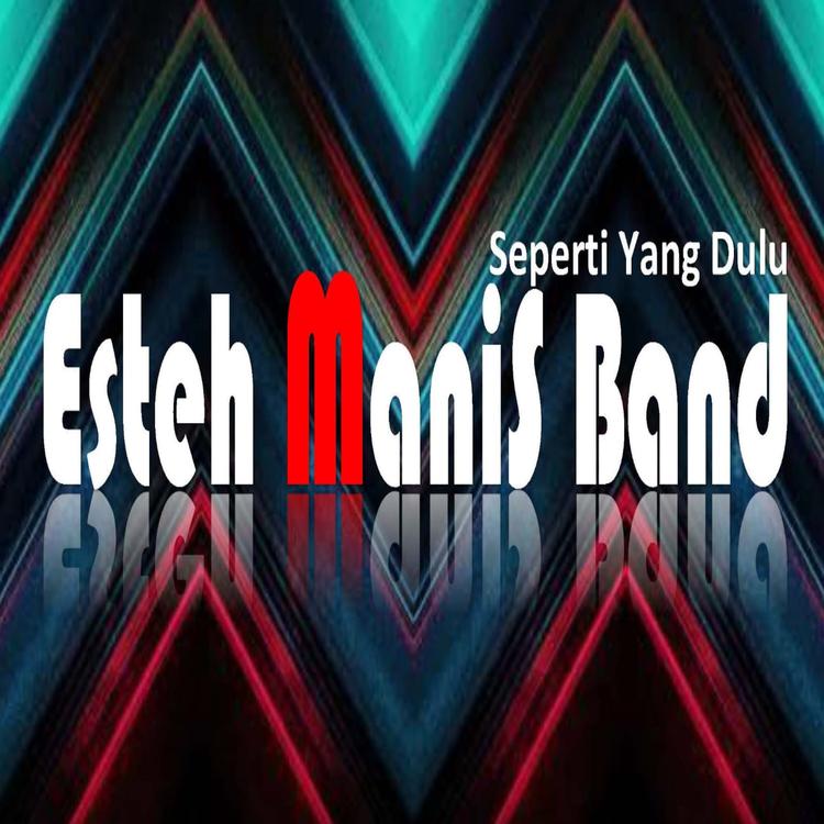 Es Teh Manis Band's avatar image